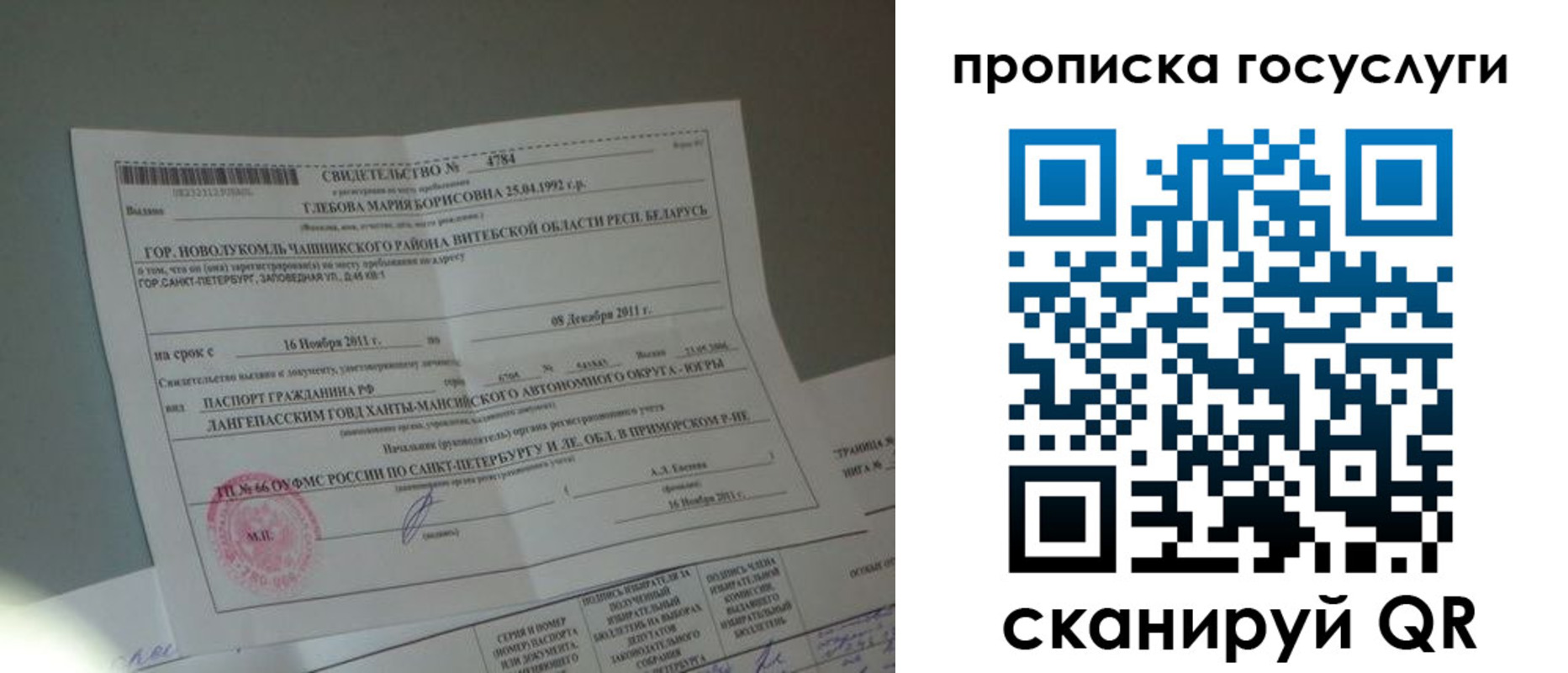 прописка 2025 в Клинцах